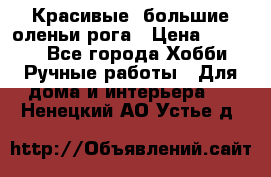 Красивые  большие оленьи рога › Цена ­ 3 000 - Все города Хобби. Ручные работы » Для дома и интерьера   . Ненецкий АО,Устье д.